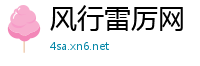 风行雷厉网